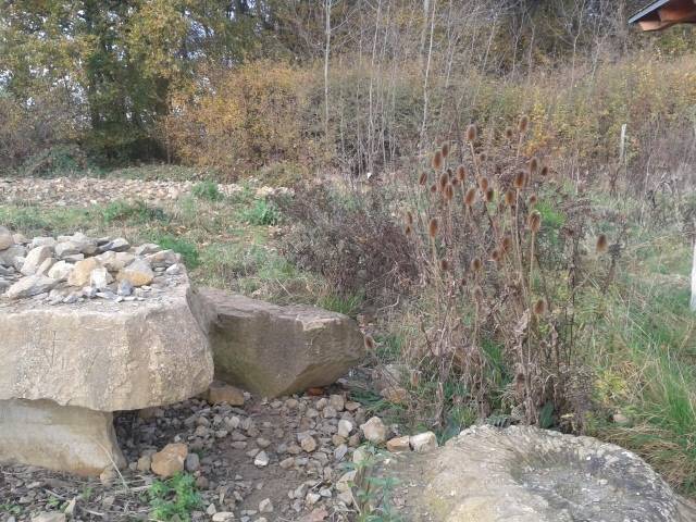 femo_natur_640x480_.jpg femo_natur_640x480_.jpg